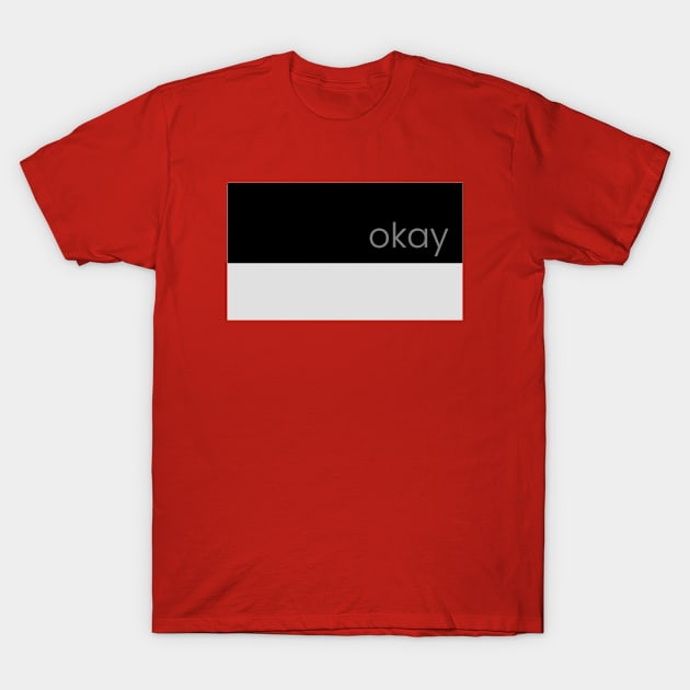 Colorblock Okay T-Shirt by Emma Lorraine Aspen